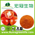 AD 100% Natural red dehydrated spray dried tomato powder
